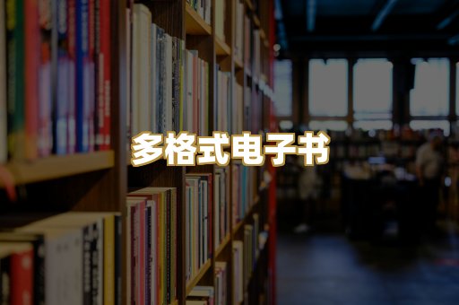 多格式电子书